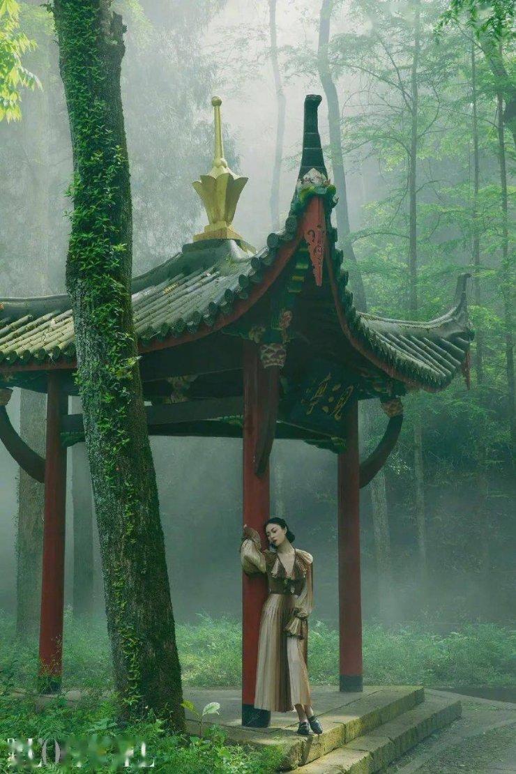 终结者2官方手游