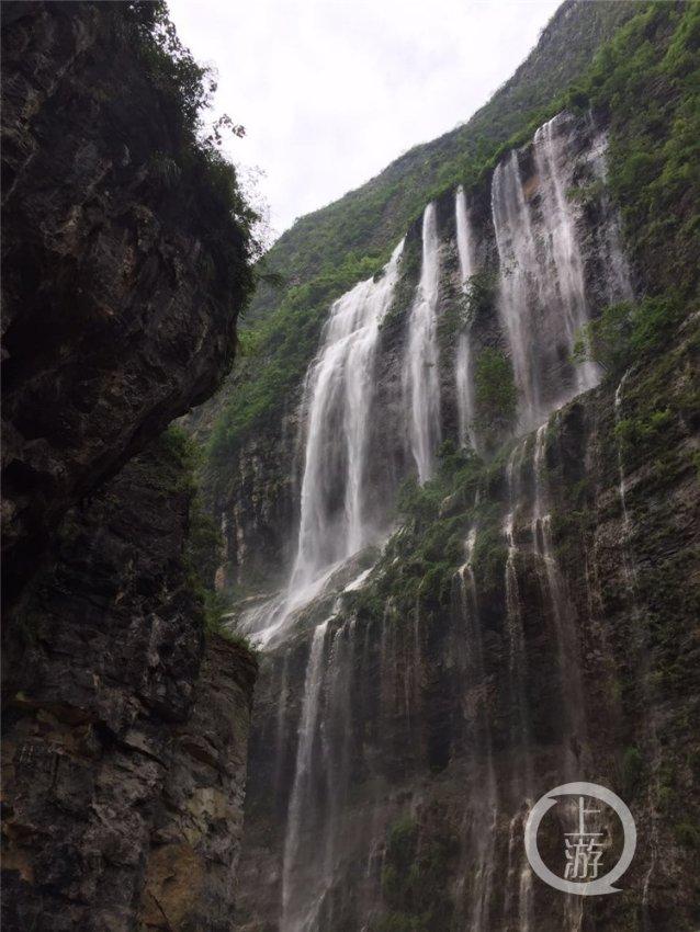 沪江开心词场