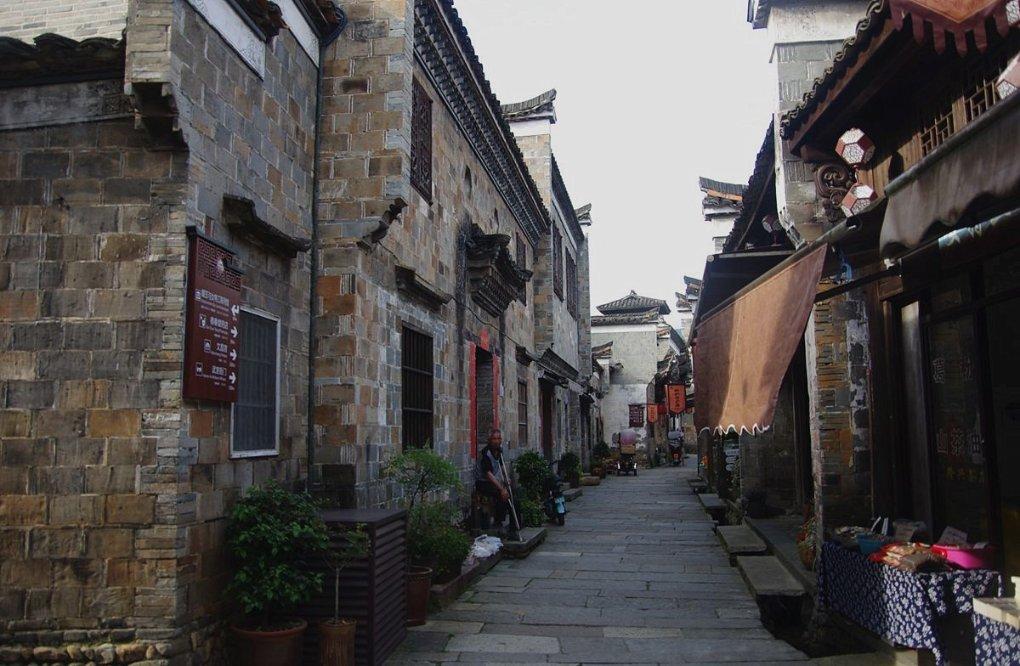动物帮帮忙保卫家园